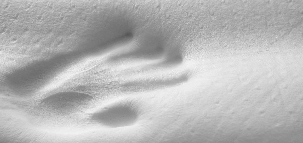 cual es diferencia latex viscoelastica