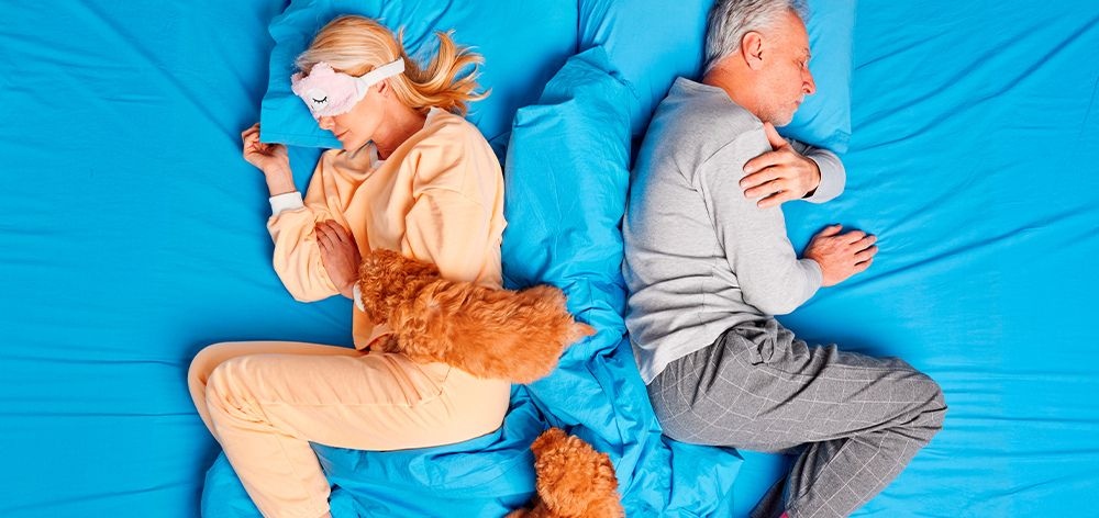 beneficios dormir mascota pareja