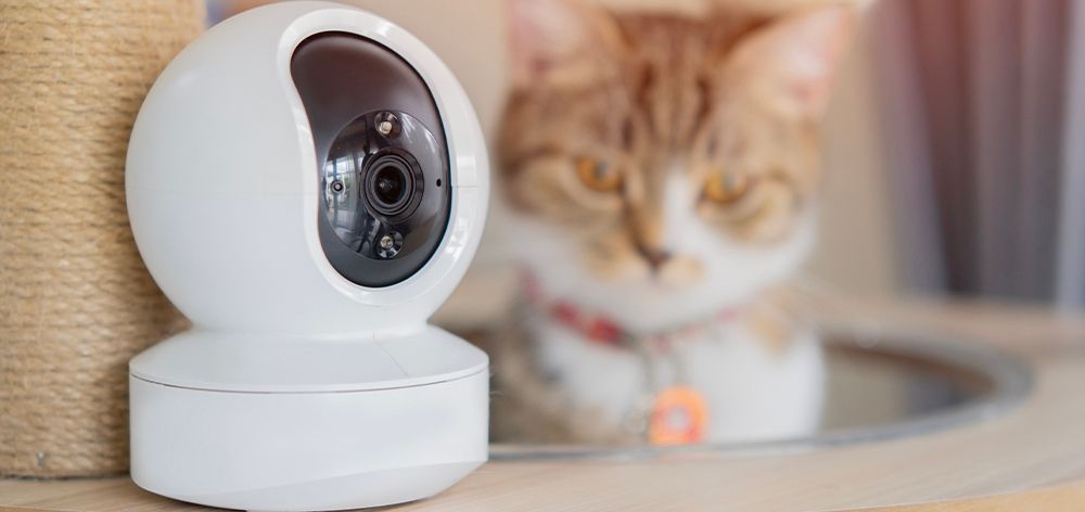 como puedes proteger hogar